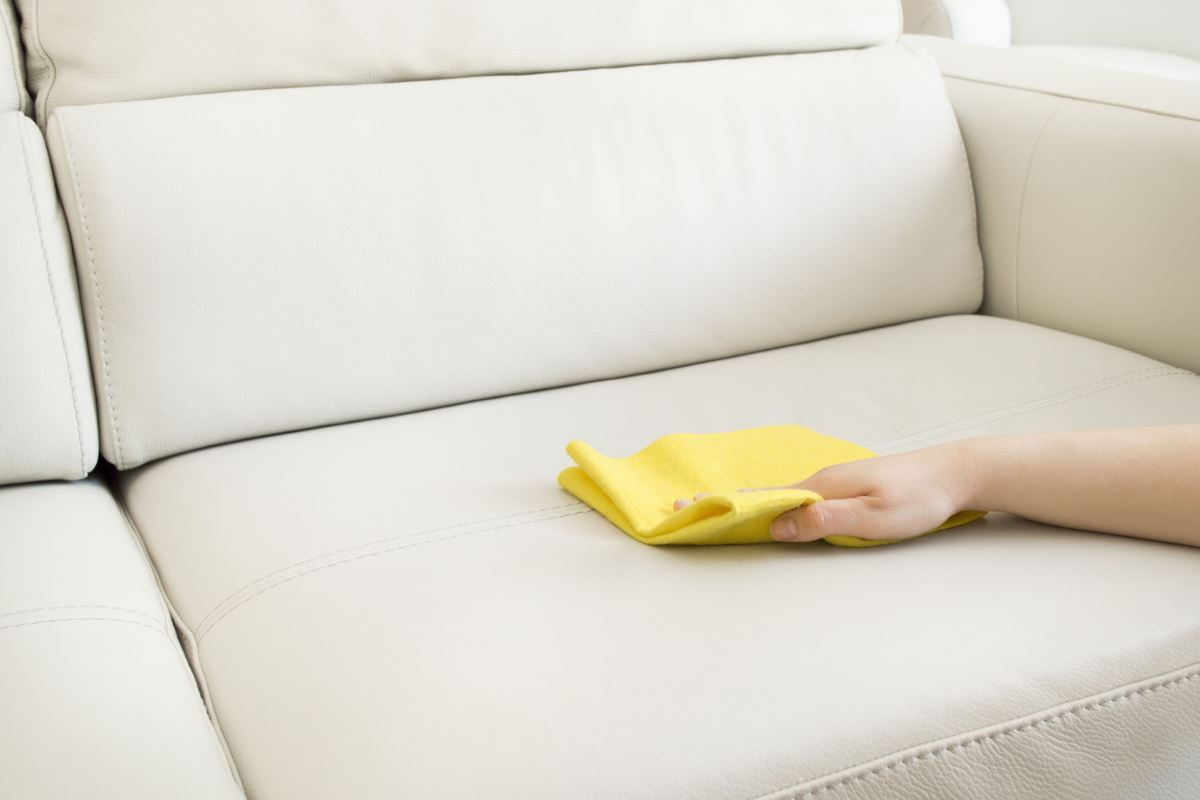 Як вивести запах сечі з тканинного дивана?